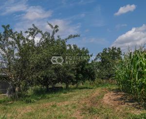 (ZRUŠENÝ) PREDAJ HOLODOMU S DVOJGARÁŽOU V OBCI JANÍK