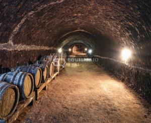 VÍNNA TUFOVA PIVNICA NA TOKAJI VO VEĽKEJ TŔNI