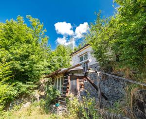 (TVORBA NOVEJ INZERCIE) UCHMATNITE SI ZÁHRADU V NIŽNOM KLÁTOVE ZA SKVELÚ CENU