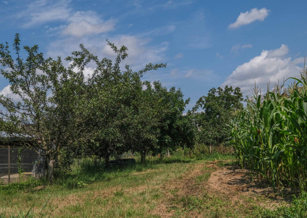 (ZRUŠENÝ) PREDAJ HOLODOMU S DVOJGARÁŽOU V OBCI JANÍK