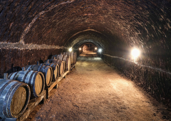 VÍNNA TUFOVA PIVNICA NA TOKAJI VO VEĽKEJ TŔNI