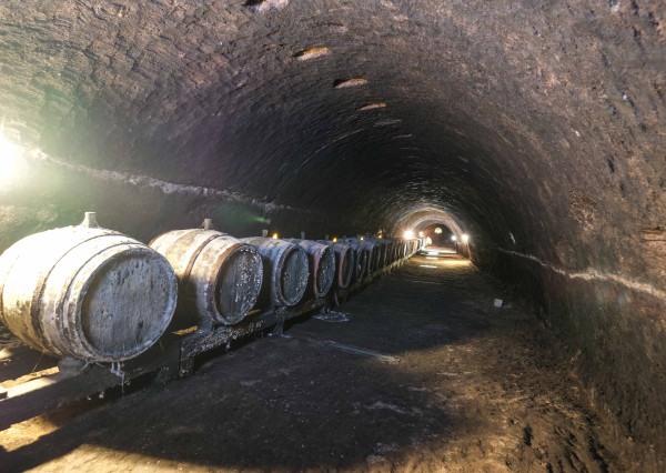 VÍNNA TUFOVA PIVNICA NA TOKAJI VO VEĽKEJ TŔNI