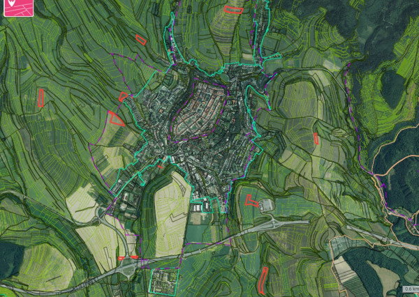 (PREDANÉ) NOVÁ CENA - POZEMKY, 30 000 M2, LEVOČA, CENA OD 0,30€/m2