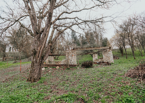 (REZERVOVANÉ) DOM, USADLOSŤ V POLINEJ