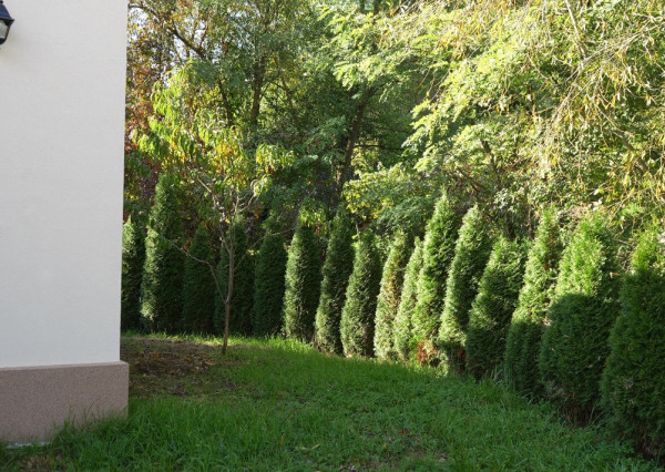 (PAUZA) PREDAJ NOVOSTAVBY RODINNÉHO DOMU V JANÍKU