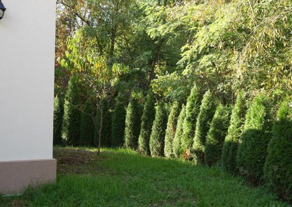 PRENÁJOM NOVOSTAVBY RODINNÉHO DOMU V JANÍKU