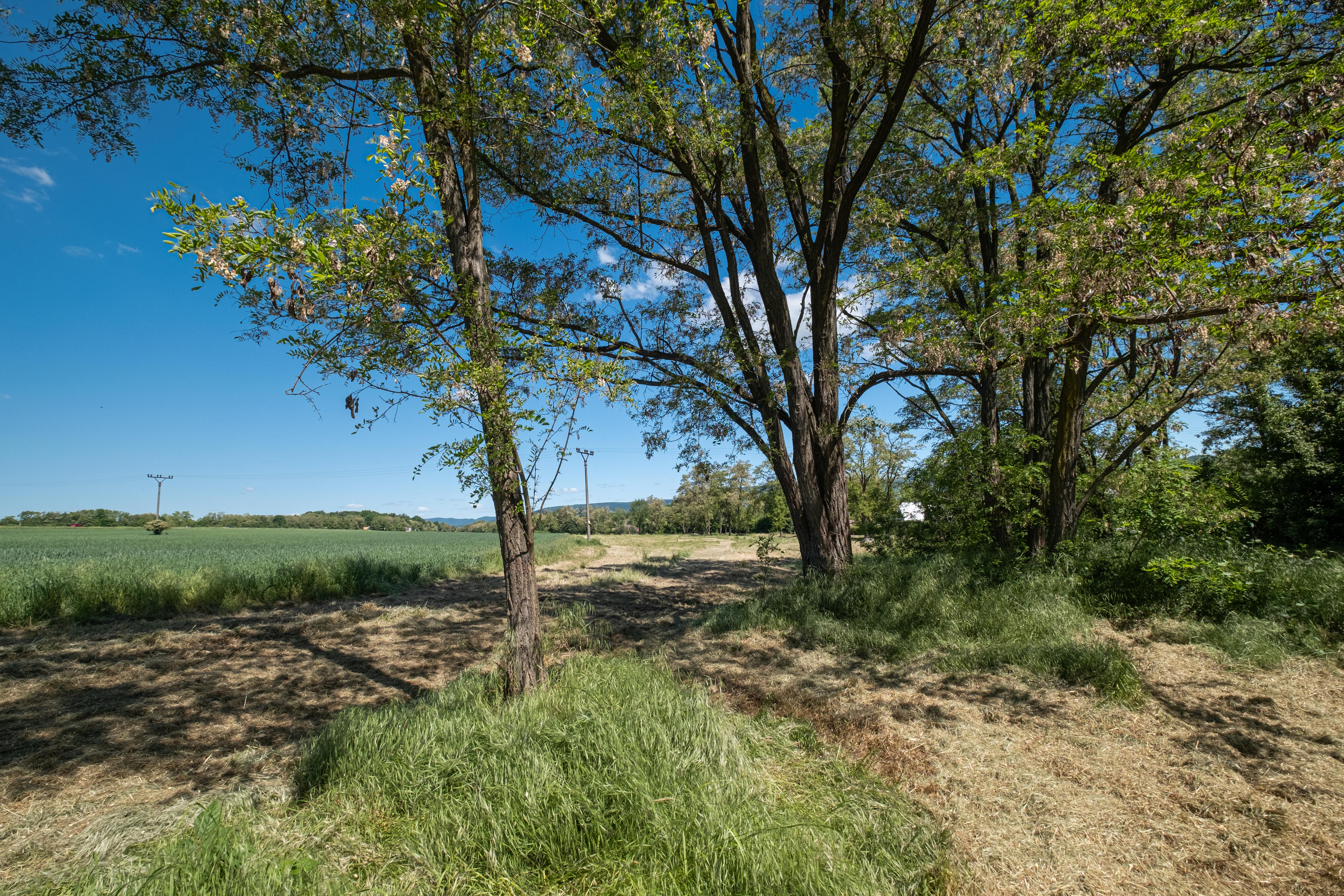 ŠÍRAVA, BIELA HORA - REKREAČNÉ CHATY, PROJEKT S POVOLENIAMI